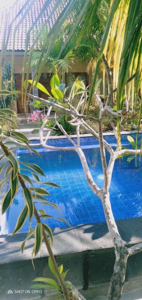 Belong Home Stay Lembongan 外观 照片