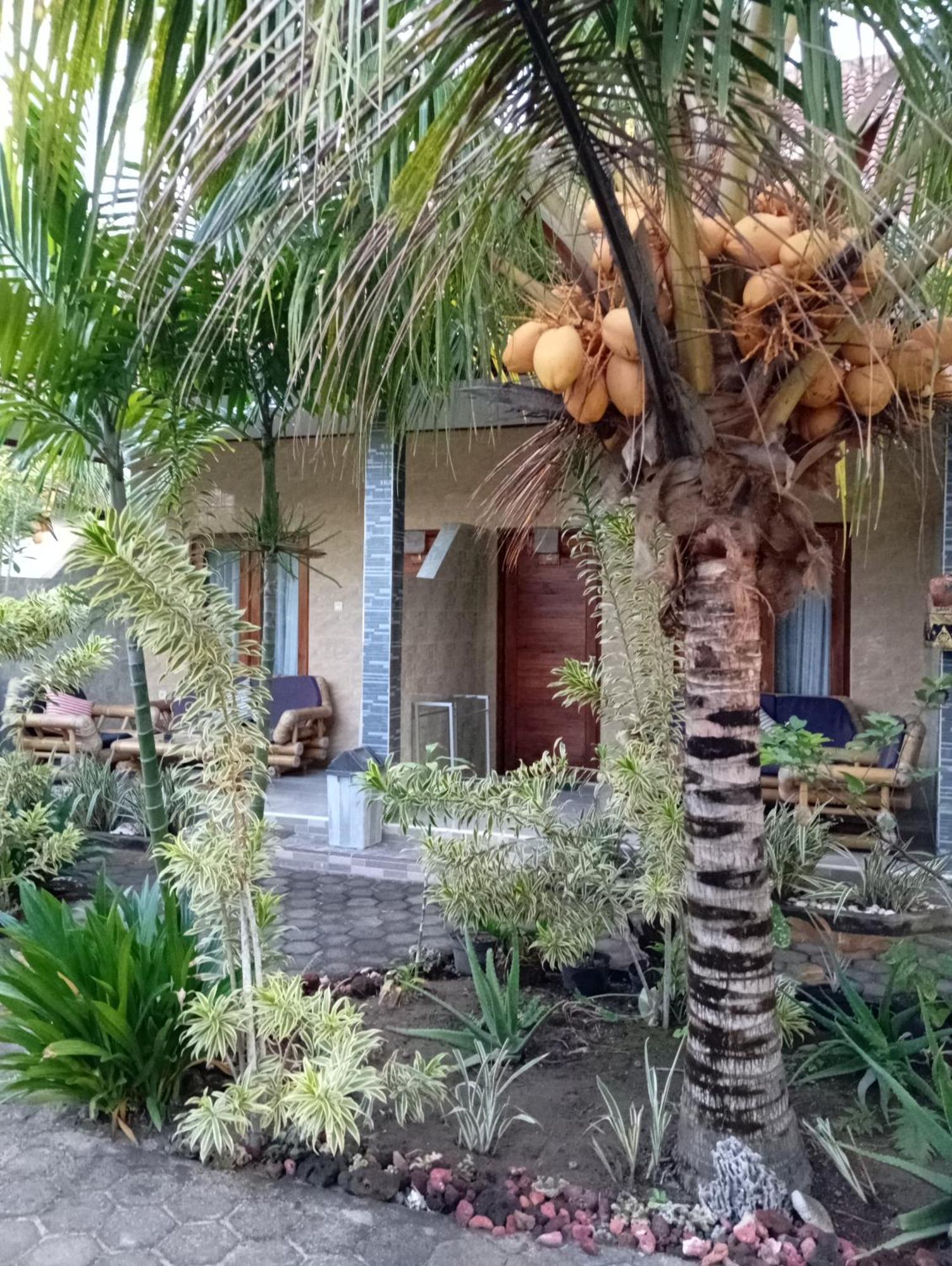 Belong Home Stay Lembongan 客房 照片